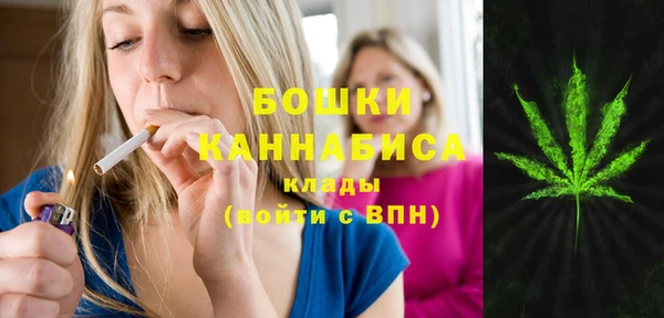 ГАЛЛЮЦИНОГЕННЫЕ ГРИБЫ Верхнеуральск